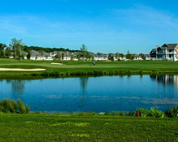 Selected content image