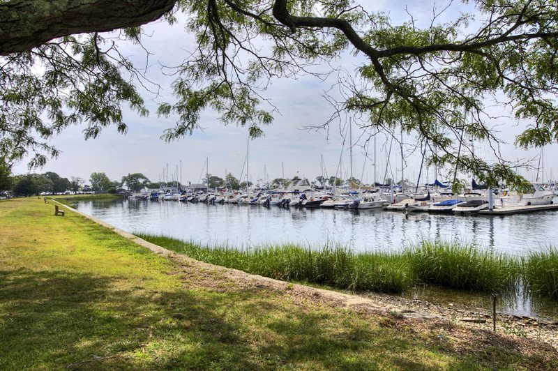 Accomplishment image 1