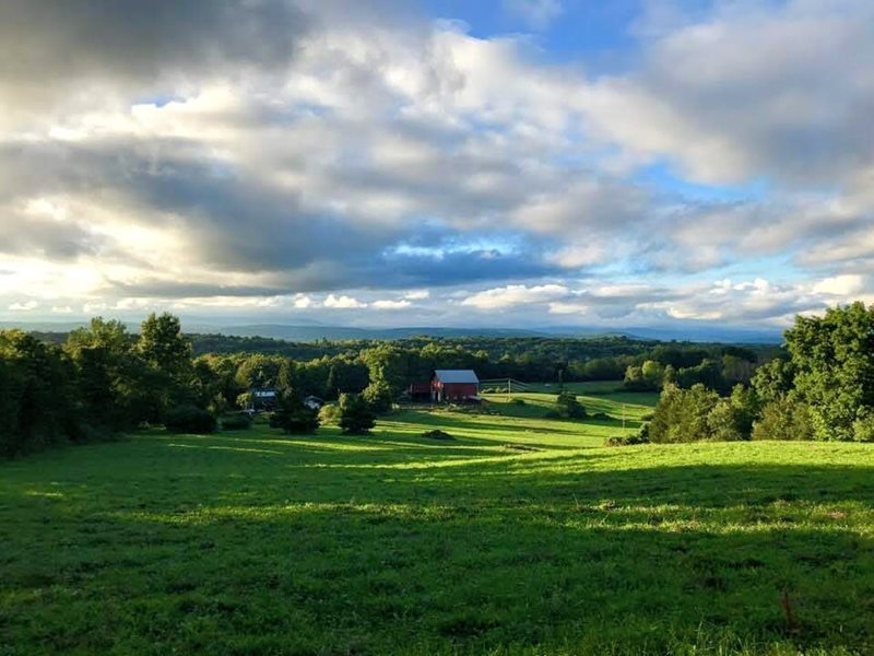 Selected content image