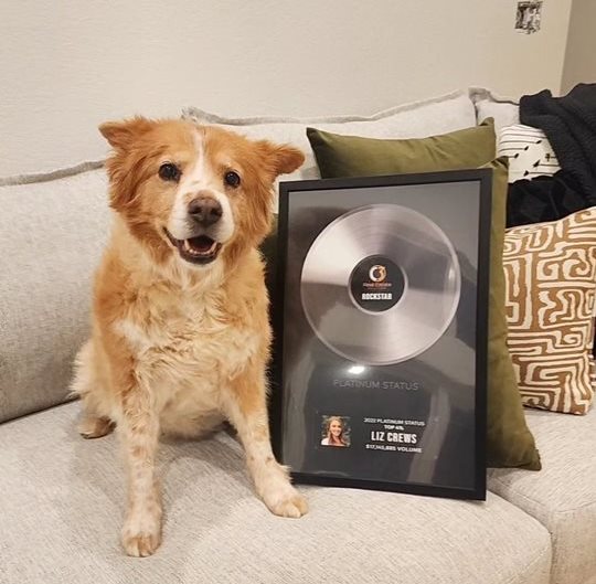 Accomplishment image 2