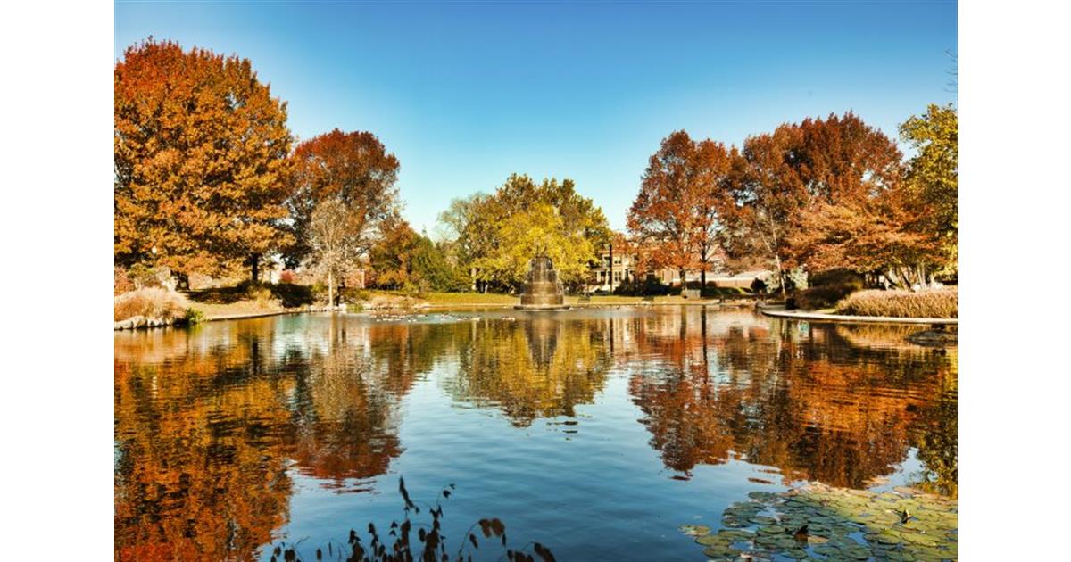 Five Star award winner Kathy Butler Five Star Spotlight