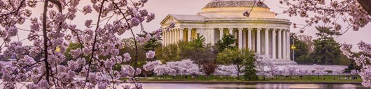 Washington D.C. photo