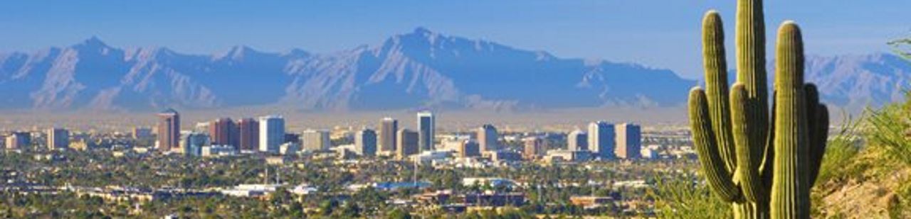 Phoenix photo